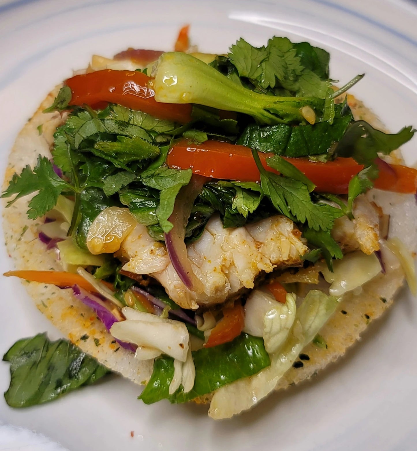 modern masala bay of bengal seafood spice blend fish taco image